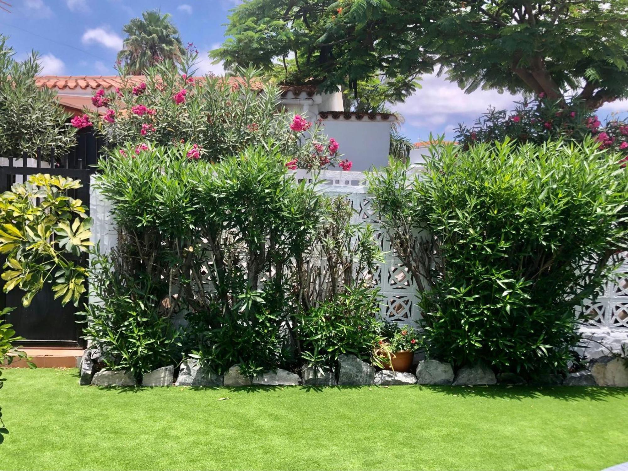 Santa Clara Bungalows มาสปาโลมาส ภายนอก รูปภาพ